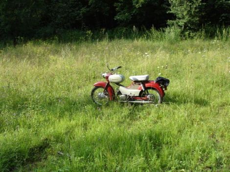 Klicken für Bild in voller Größe