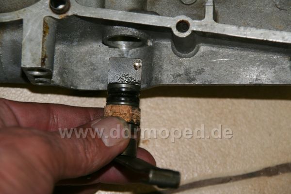 Angefügtes Bild