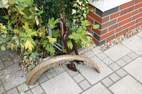 Angefügtes Bild