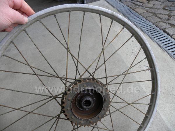 Angefügtes Bild