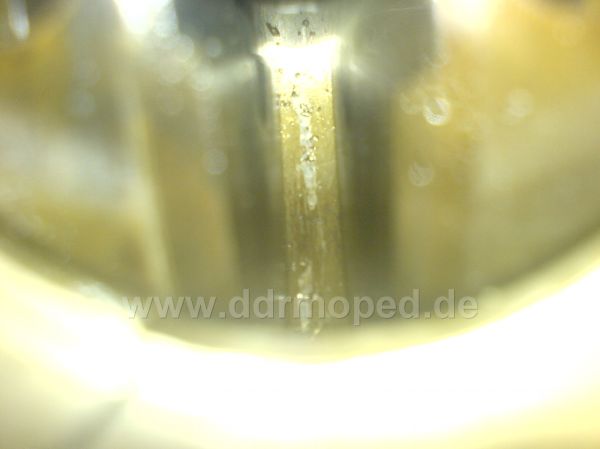 Angefügtes Bild