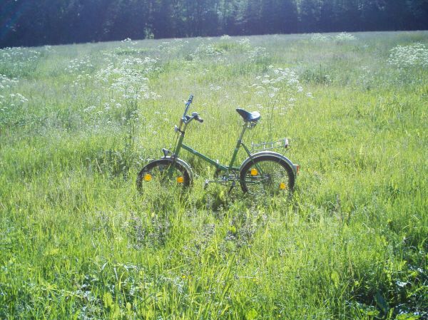 Angefügtes Bild