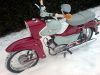 Dateiname=DSC01706.JPG
Dateigröße=293KB
Abmessungen: 1600x1200
hinzugefügt am: 12. Januar 2010 DSC01706.JPG
