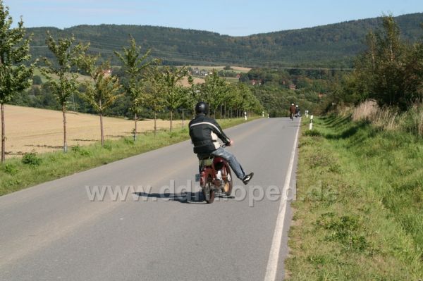 Angef�gtes Bild