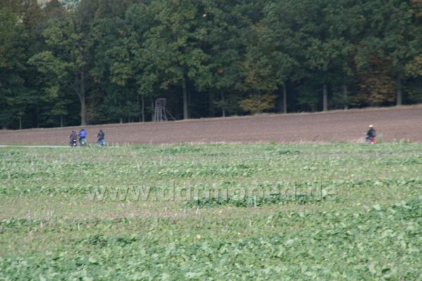 Angef�gtes Bild