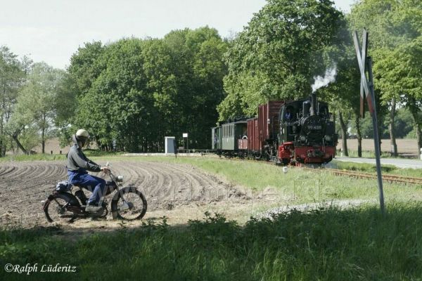 Angef�gtes Bild