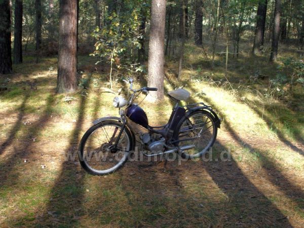 Angef�gtes Bild