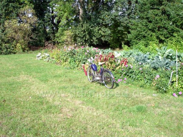 Angef�gtes Bild
