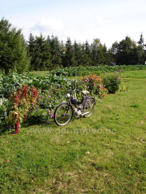 Angef�gtes Bild