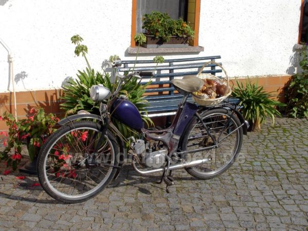 Angef�gtes Bild