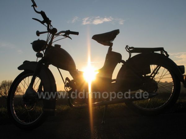 Angef�gtes Bild