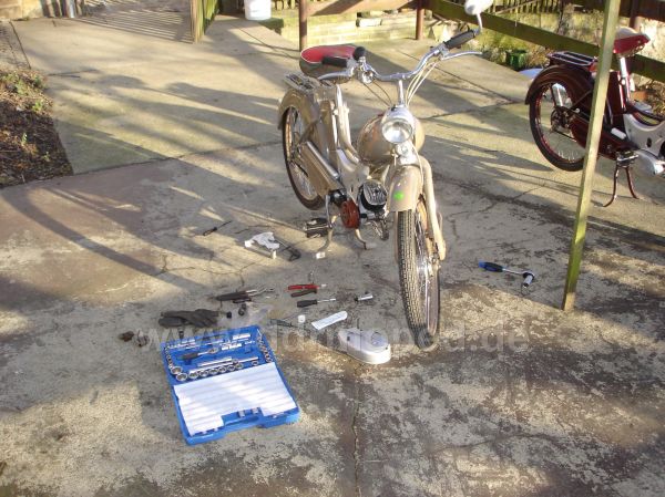 Angef�gtes Bild