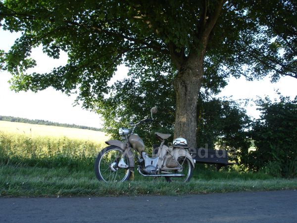 Angef�gtes Bild