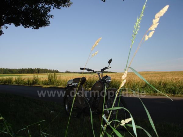Angef�gtes Bild