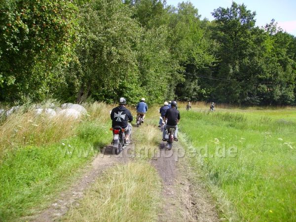 Angef�gtes Bild