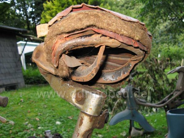 Angef�gtes Bild
