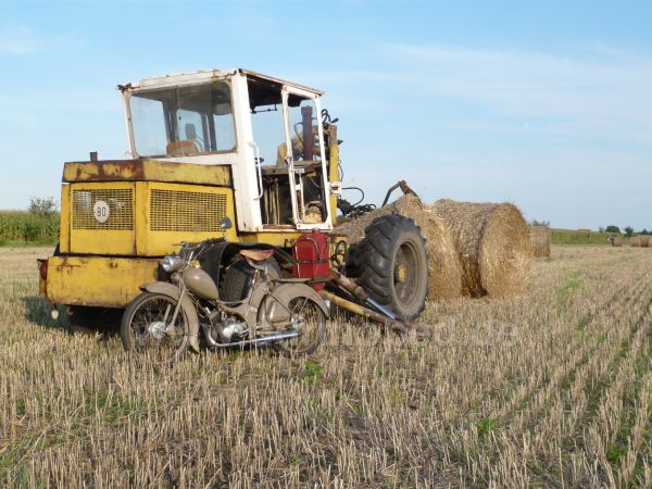 Angef�gtes Bild
