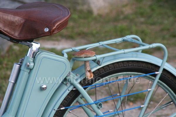 Angef�gtes Bild