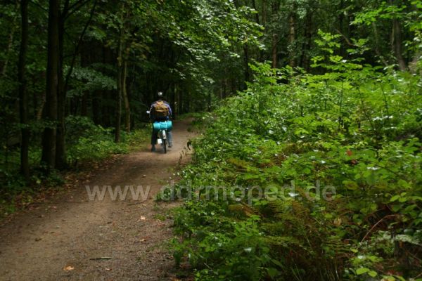 Angef�gtes Bild