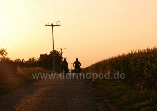 Angef�gtes Bild