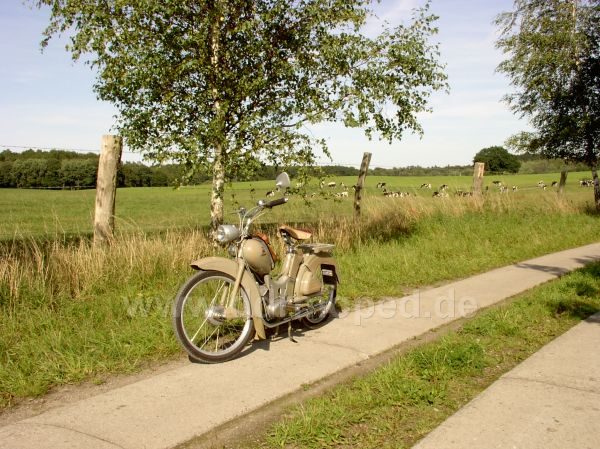 Angef�gtes Bild