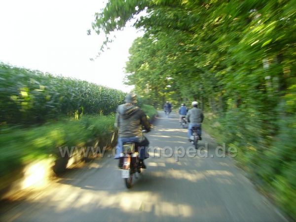 Angef�gtes Bild
