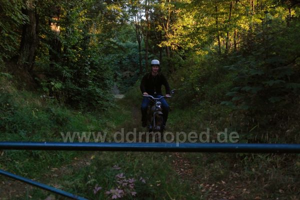 Angef�gtes Bild