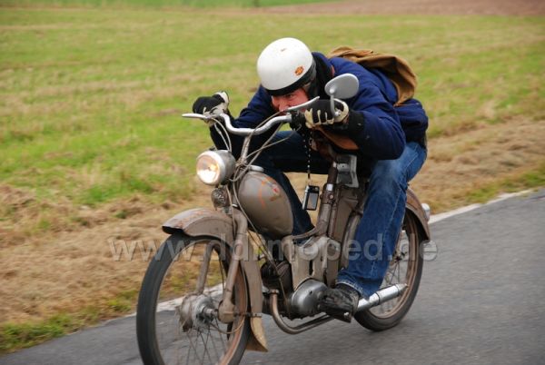 Angef�gtes Bild
