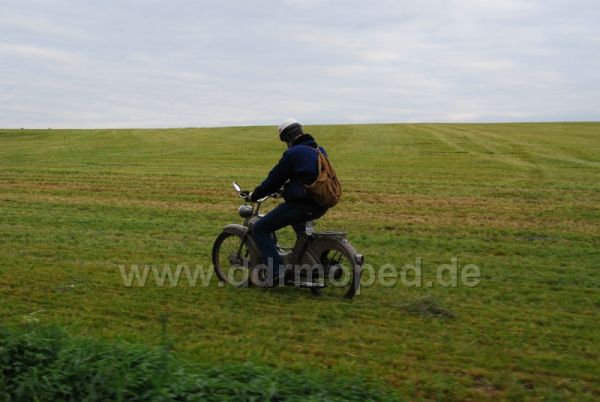 Angef�gtes Bild