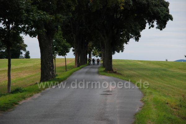 Angef�gtes Bild