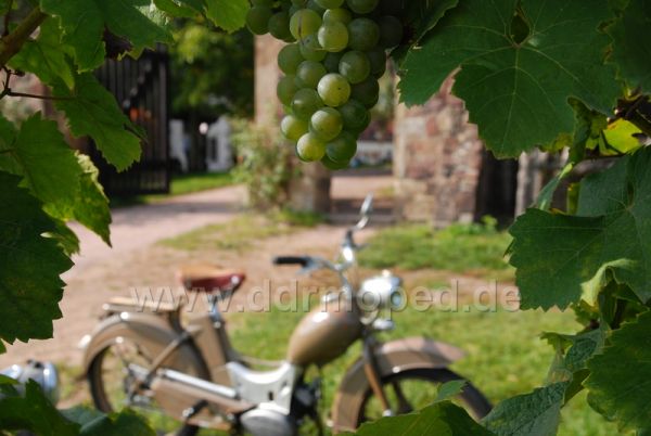 Angef�gtes Bild