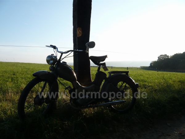 Angefgtes Bild