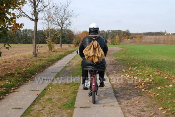 Angefgtes Bild