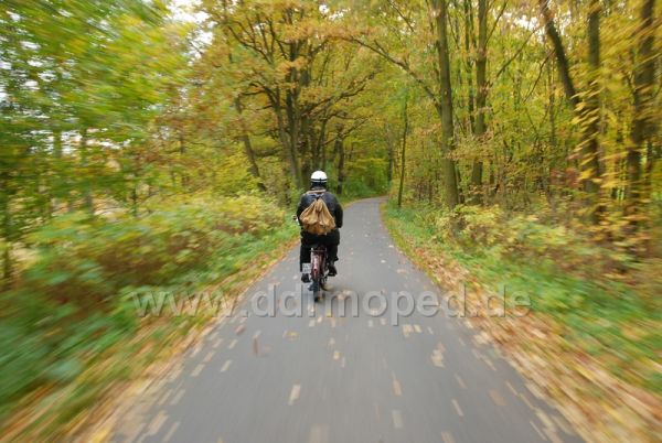 Angefgtes Bild