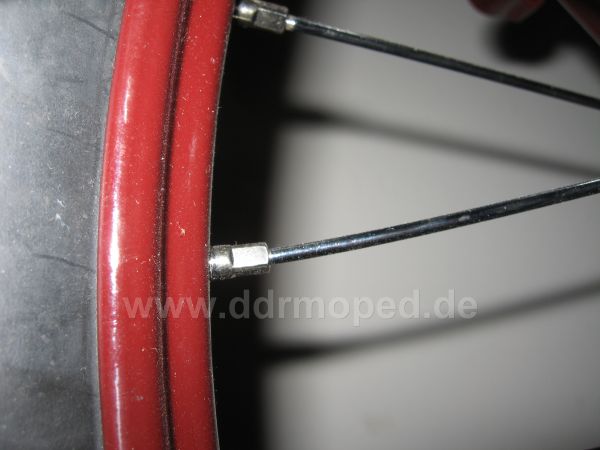 Angef�gtes Bild