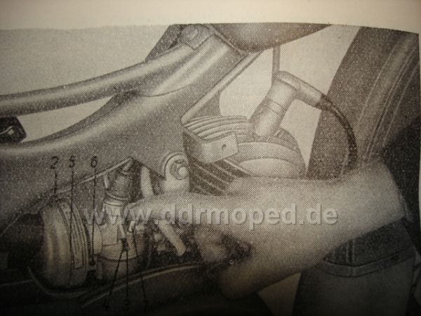Angefügtes Bild