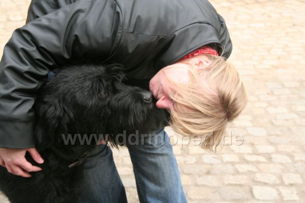 Angefgtes Bild