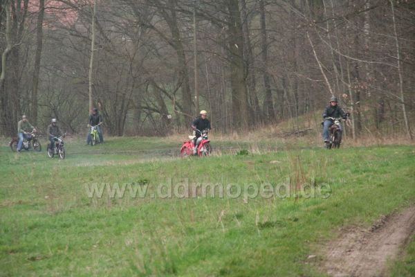 Angefgtes Bild