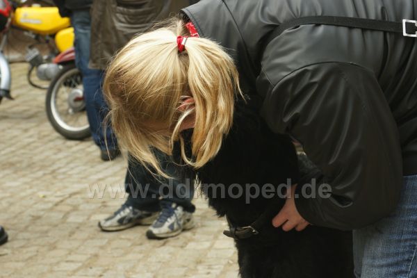 Angefgtes Bild