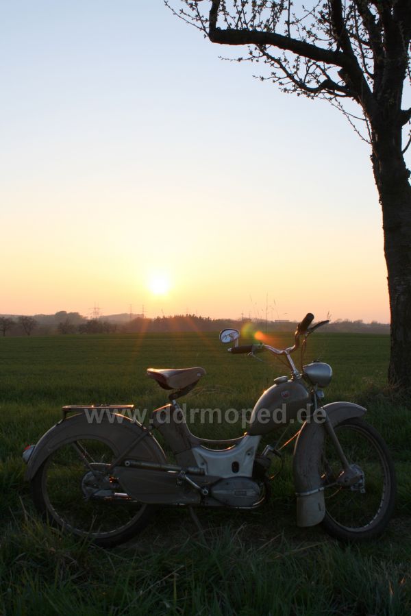 Angefgtes Bild
