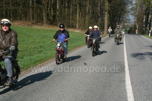 Angefgtes Bild