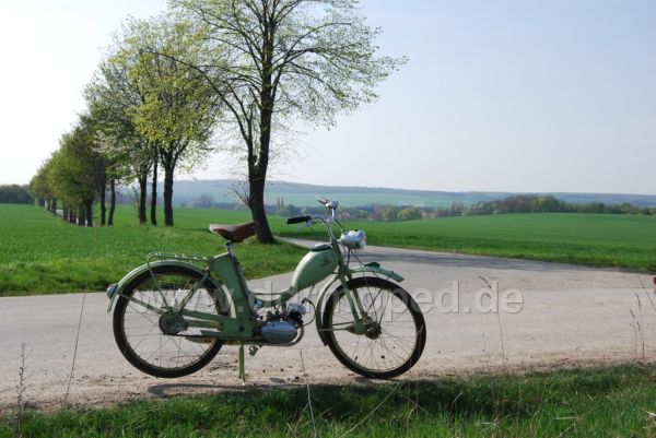 Angefgtes Bild
