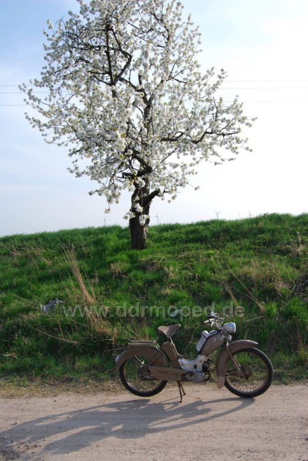 Angefgtes Bild