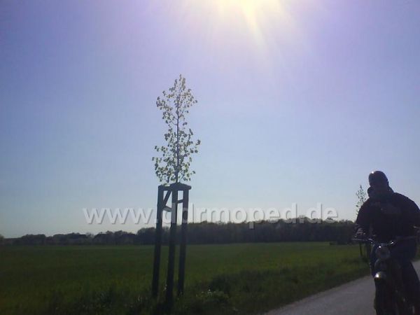 Angefgtes Bild