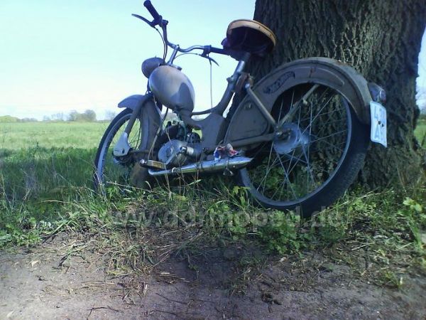 Angefgtes Bild