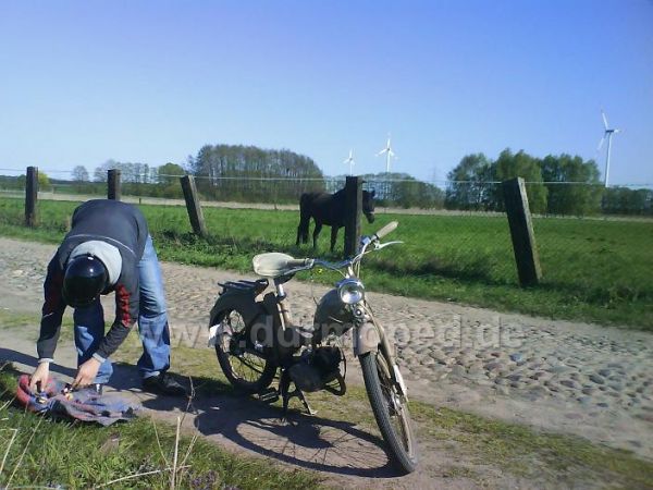 Angefgtes Bild