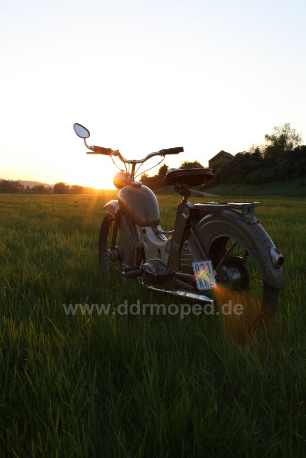 Angefgtes Bild