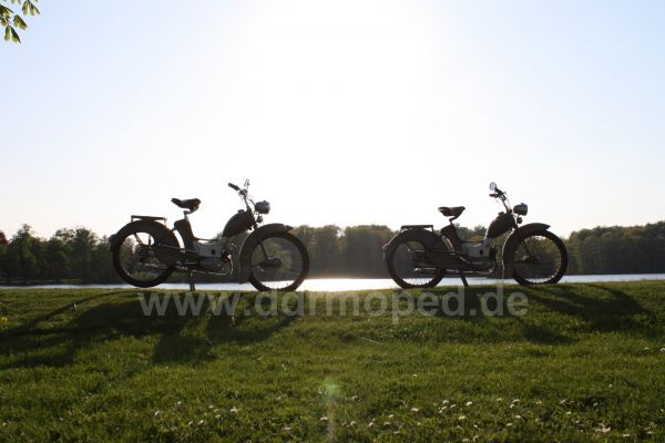 Angefgtes Bild