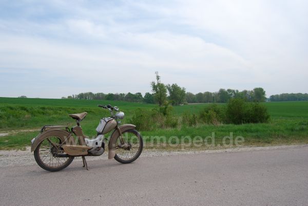 Angefügtes Bild
