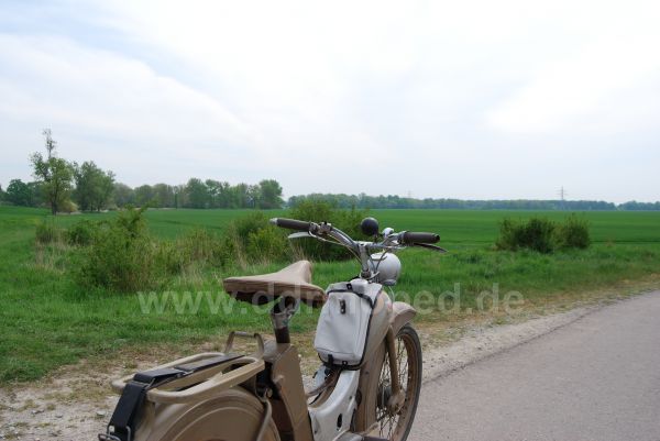 Angefgtes Bild